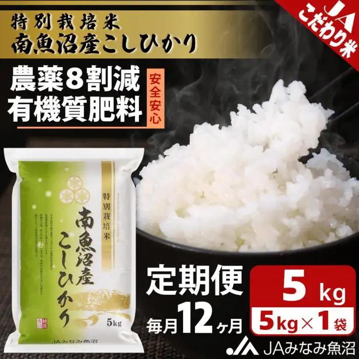 【JAみなみ魚沼定期便】特別栽培米南魚沼産こしひかり8割減（5kg×全12回）精米｜こしひかり