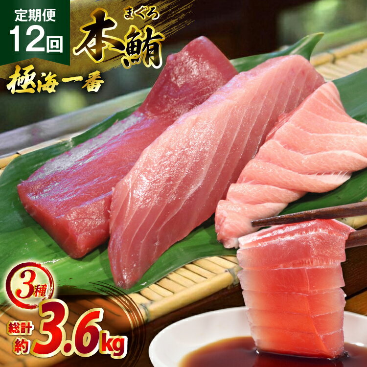 【ふるさと納税】マグロ 切り身 極海一番 3種 セット 300g 12回 定期便 総計3.6kg 詰め合わせ 食べ比べ [囲炉裏料理エビス亭 長崎県 平戸市 hr42bgy390026] まぐろ 刺身 料亭 赤身 中とろ 大トロ 柵 おつまみ 冷凍 高級 寿司 すし