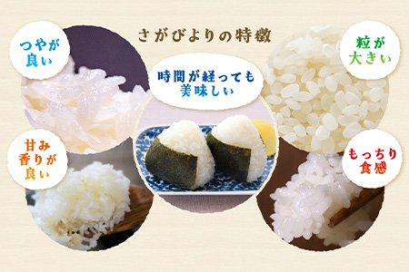 さがびより 新米 定期便 3ヶ月 佐賀県産 玄米 5kg《3ヶ月連続 毎月お届け》D-64 3回 令和7年産 玄米5kg×3回定期便