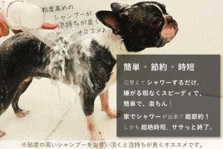 ペット用シャワーヘッド【オレンジ】Shawany color  シャワニーカラー