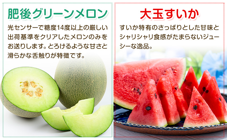 【定期便6回】特選 フルーツ 便 ( メロン すいか ぶどう 梨 いちご ) スイカ 葡萄 ブドウ ナシ なし 苺 イチゴ 果物 くだもの セット 詰合せ 定期便 メロンドーム《お申し込みの翌月から出