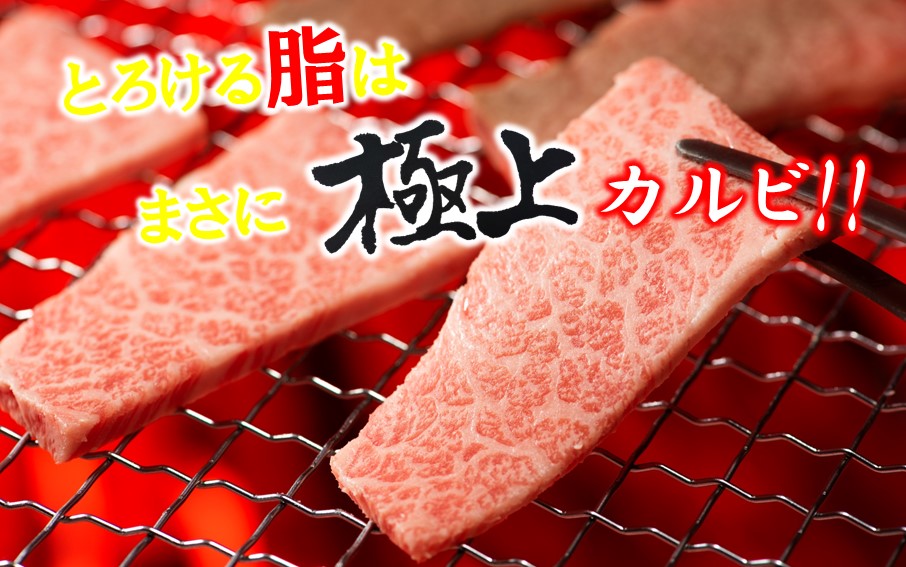 【黒毛和牛】 豊後牛／三角バラ焼肉用150g×2P (計300g)_2388R_イメージ3