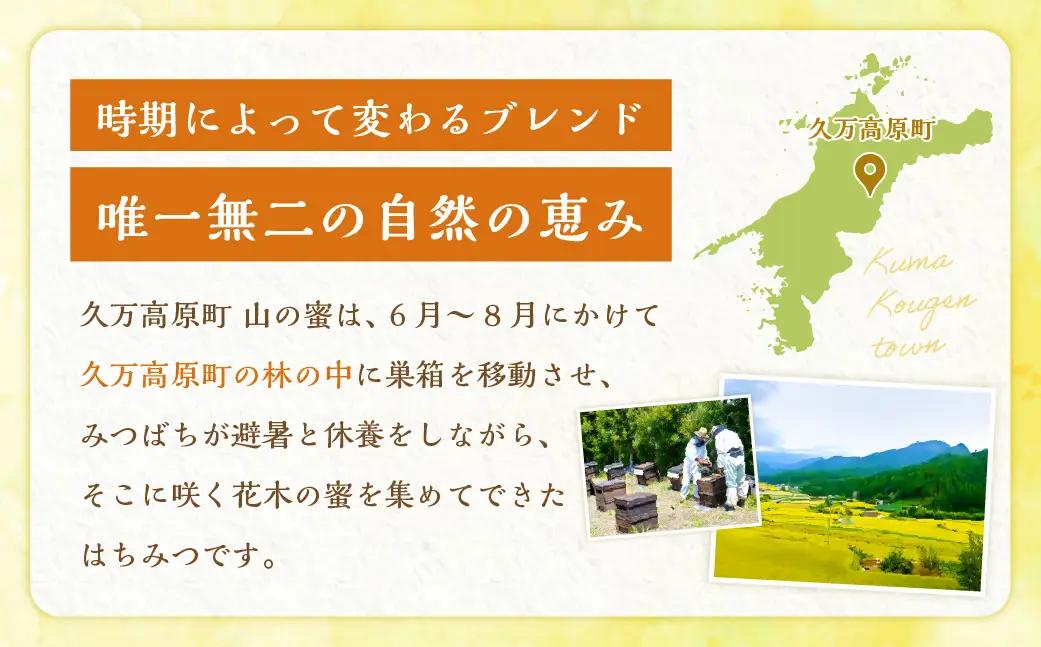 久万高原町 山の蜜 2400g みつばちのダンス 久万高原町産 純粋 蜂蜜 ハチミツ 天然はちみつ 国産 愛媛県 【えひめの町（超）推し！（久万高原町）】（332）