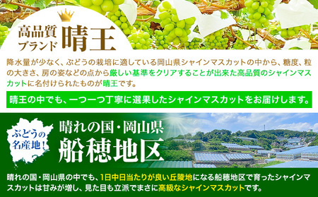 高級 シャインマスカット 2ヶ月 定期便【先行予約】ぶどう 晴王 1房600g×2ヶ月 計1.2kg 岡山県産《9月上旬-10月末頃出荷(土日祝除く)》 ハレノフルーツ マスカット 送料無料 岡山県 