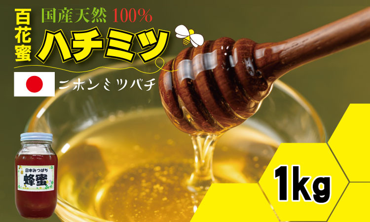 
            はちみつ（日本蜜蜂）蜂蜜（百花蜜）1,000g 西山養蜂 日本 ハチミツ honey
          