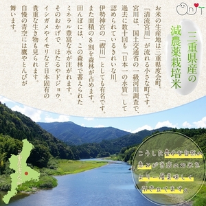 《先行予約 ９月中旬より順次発送予定》 令和6年産 新米 ミルキークイーン 精米 20kg ／ おんじ屋 お米 白米 三重県 度会町 伊勢志摩