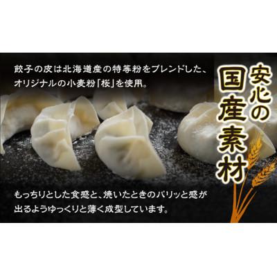 ふるさと納税 豊橋市 【国産】こだわり餃子100個入 |  | 01