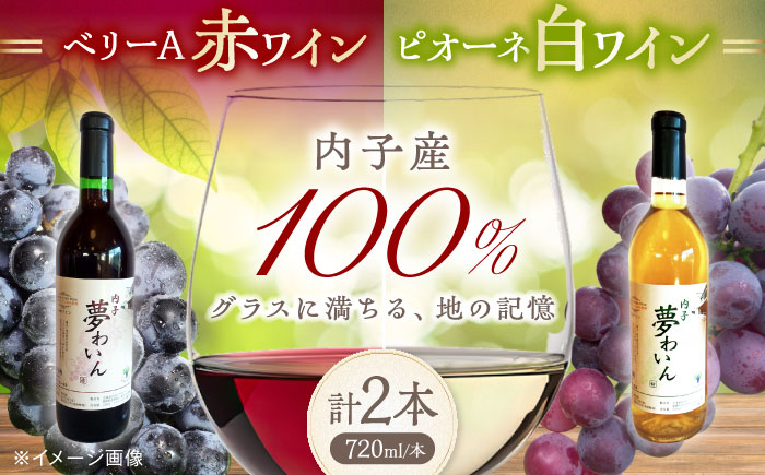 内子夢わいん 赤(ベリーA)+白(ピオーネ) 1本約720ml 各1本入りセット 計1440ml / ワイン 赤ワイン 白ワイン わいん wine お酒 酒 洋酒 愛媛県 愛媛 内子町 国産ワイン 日本ワイン 果実酒 送料無料 人気 家飲み 四国 【企業組合内子ワイナリー】 [BKAG005]