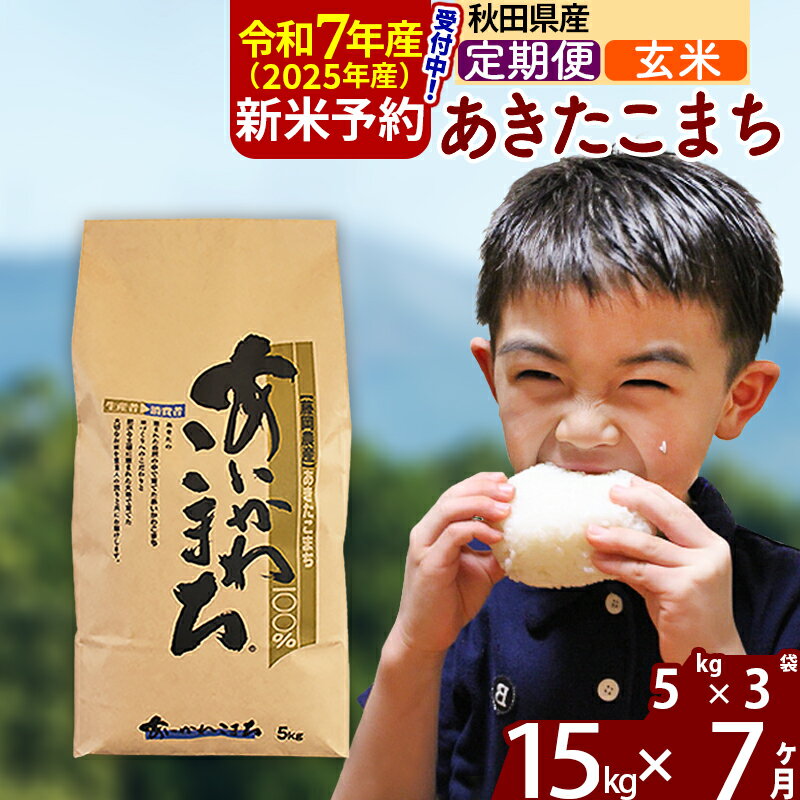 【ふるさと納税】※令和7年産 新米予約※《定期便7ヶ月》秋田県産 あきたこまち 15kg【玄米】(5kg小分け袋) 2025年産 お届け周期調整可能 隔月に調整OK お米 藤岡農産