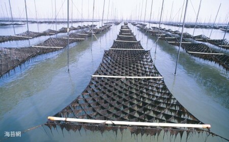 海王 一番摘み焼海苔 5枚入×7袋 計35枚 焼き海苔 板海苔 板のり のり 海苔 初摘み 香り 有明のり 有明海苔