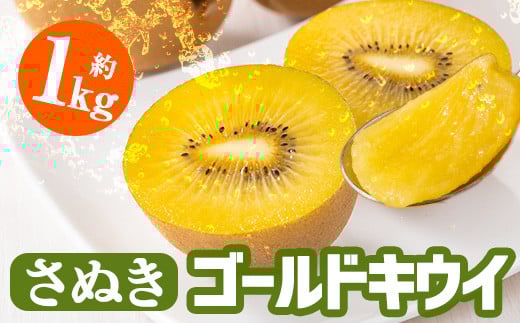 ＜先行予約！2025年10月中旬以降順次発送予定＞＜選べる容量＞香川県産 さぬきゴールドキウイ (約1kg) 【man063・man180】【Aglio nero】