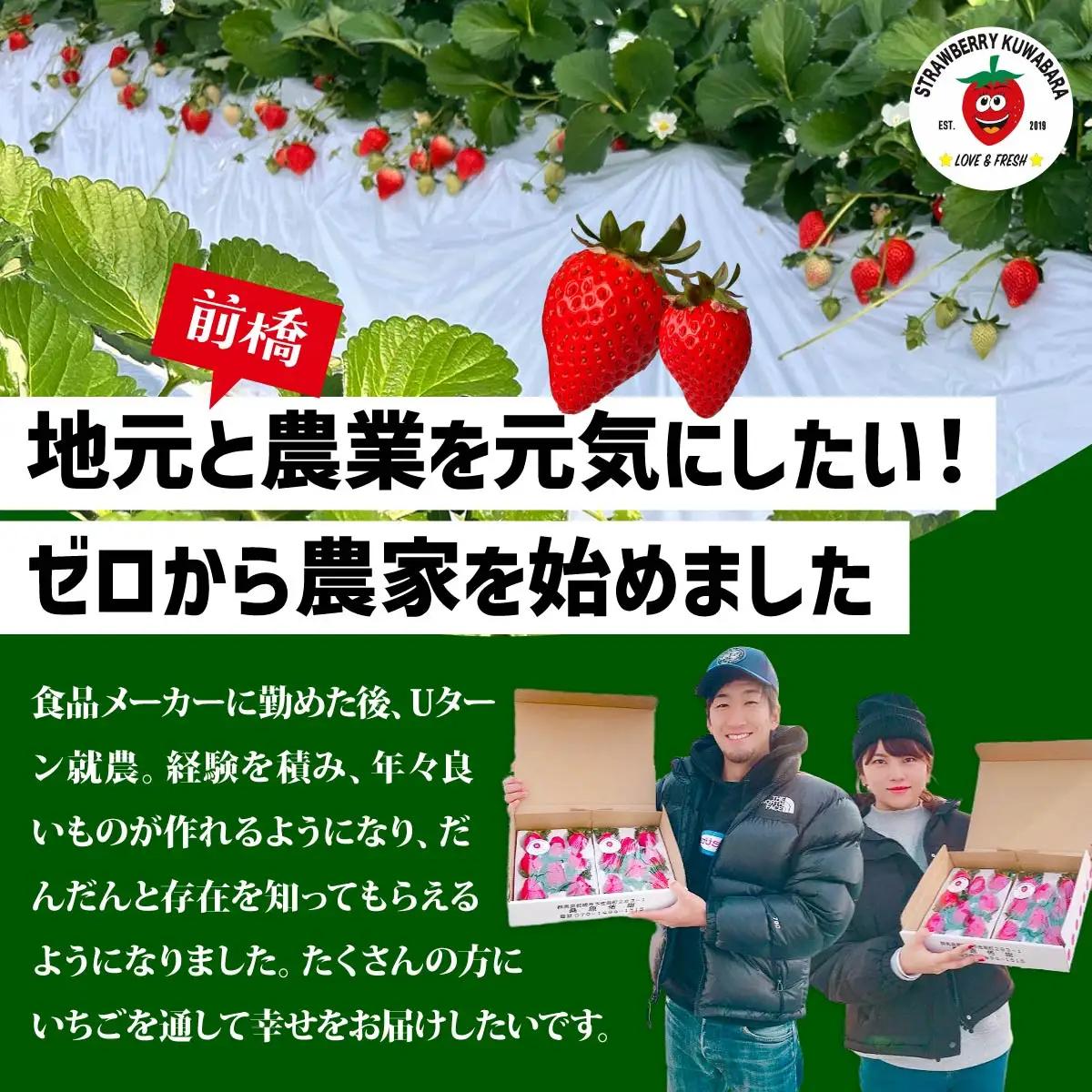 【大粒サイズ】いちご やよいひめ 約800g  | いちご