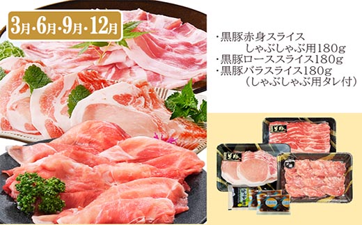 定期便3回配送　お肉とお魚よりどり定期便 LL-6016【1498567】 _ 黒毛和牛 黒豚 マグロ 鰹 かつお タタキ ハンバーグ 焼肉 ロース ミンチ 本マグロ 中トロ 焼肉 セット 食べ比べ 