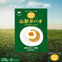 【ふるさと納税】山形大豆ミート やさしい大豆 山形ガパオ (120g×8パック) 大豆ミート 大豆 添加物不使用 着色料不使用 山形県 新庄市 F3S-1623