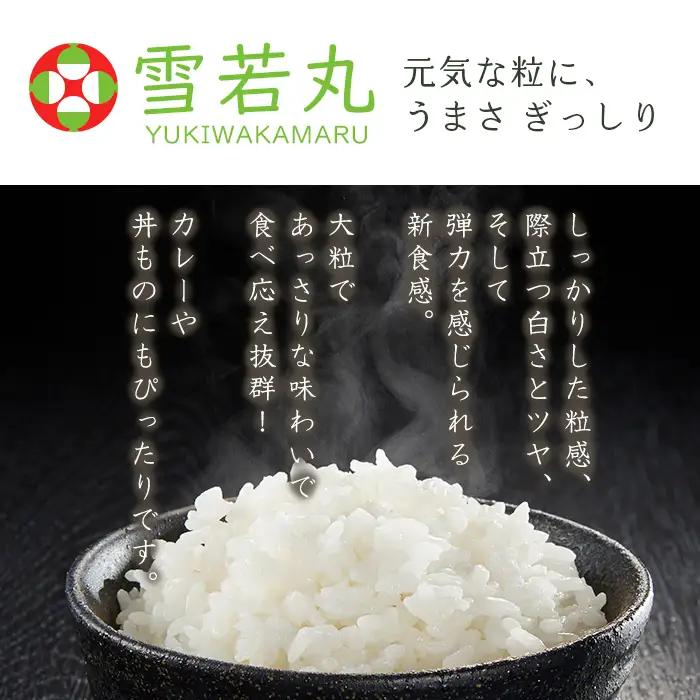 【五つ星 マイスター 厳選！】山形産 雪若丸 5kg[白米] FZ25-955