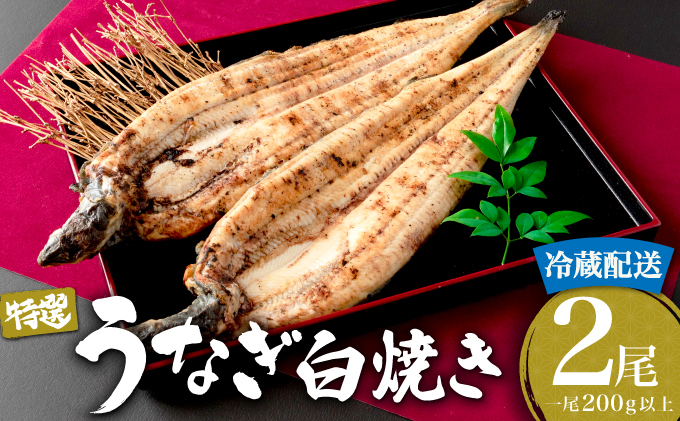 ＜土用の丑の日（7月26日）着＞うなぎ白焼き 400g (200g×2尾) 土用の丑の日（7月26日）着