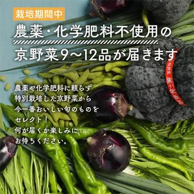 ふるさと納税 亀岡市 旬の京野菜セットL(平飼い卵付) 詰め合わせ※栽培期間中、農薬・化学肥料不使用＜アスカ有機農園＞ |  | 01
