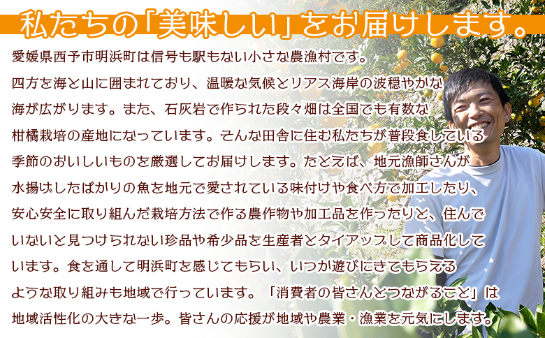 ＜【4月発送】旬をお届け！河内晩柑 約6kg＞ みかん ミカン 蜜柑 果物 柑橘類 果実 オレンジ フルーツ かわちばんかん カワチバンカン 特産品 明浜産 二ノ宮商事 愛媛県 西予市
