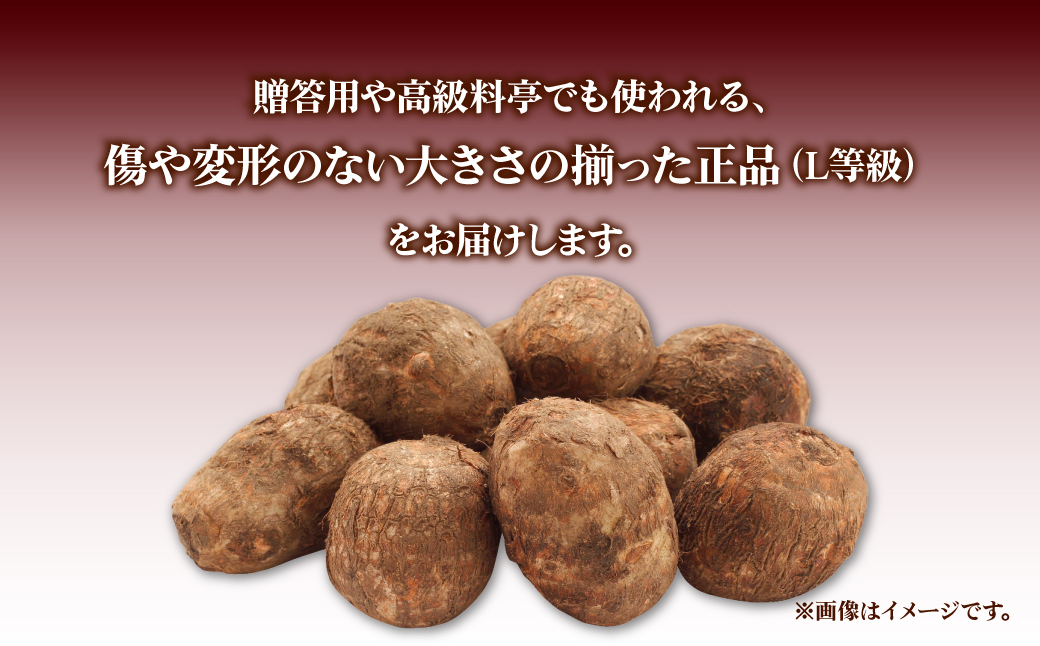 里芋 5kg 正品 (贈答用) | さといも サトイモ 70個 芋 いも イモ 根菜 野菜 芋煮 煮物 煮込み 味噌汁 みそ汁 揚げ物 揚物 料理 鍋 和食 新鮮 掘りたて ねっとり 国産 産地直送 