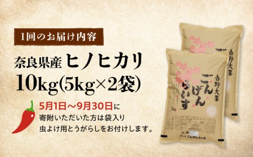 白米 【全6回定期便】ひのひかり 10kg（5kg×2袋） 奈良県吉野町/水本米穀店[BRAW057] ヒノヒカリ ごんげんらいす 白米 米 お米 kome コメ おこめ ひのひかり ヒノヒカリ はくまい こめ