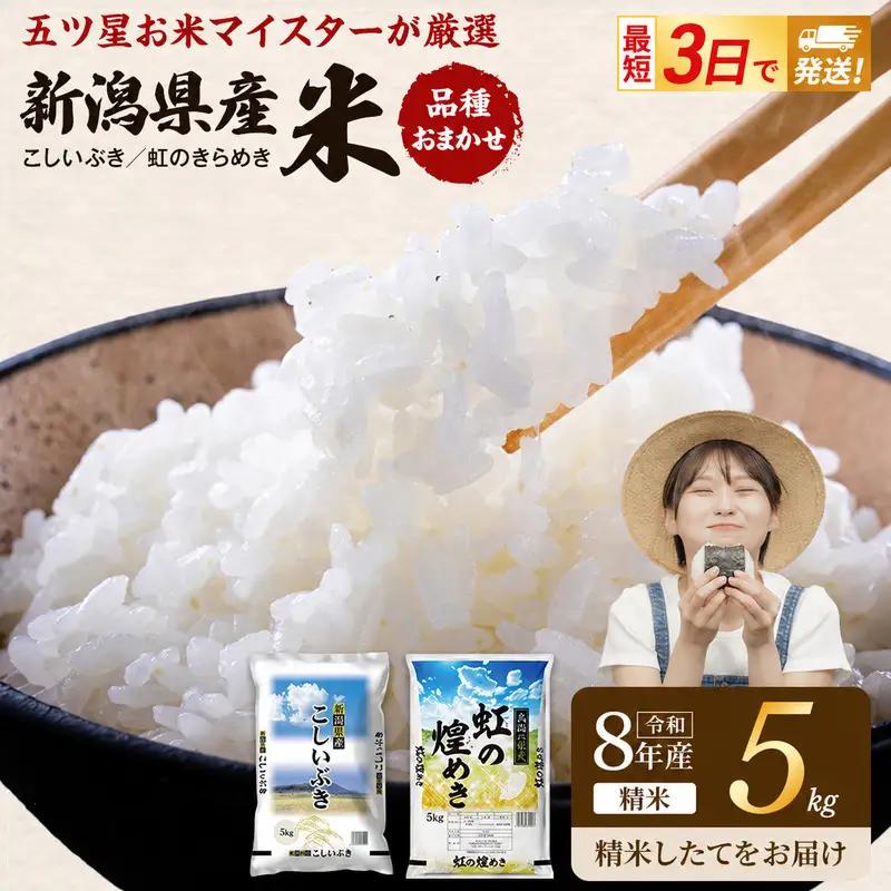 【先行予約】R8年産 新潟県産 品種おまかせ  5kg 新潟県 新潟市産 令和8年産 お米 精米 米 ご飯 送料無料