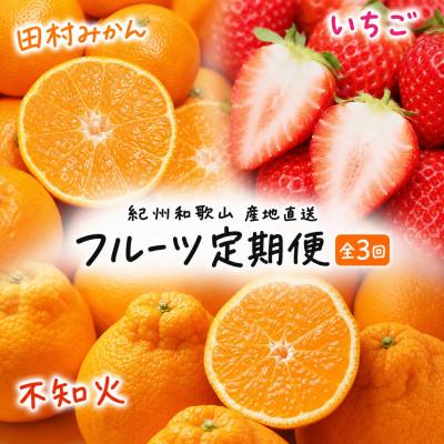 ふるさと納税 紀美野町 【発送月固定定期便】紀州和歌山産旬のフルーツセット(田村みかん・いちご・紀州デコ)全3回