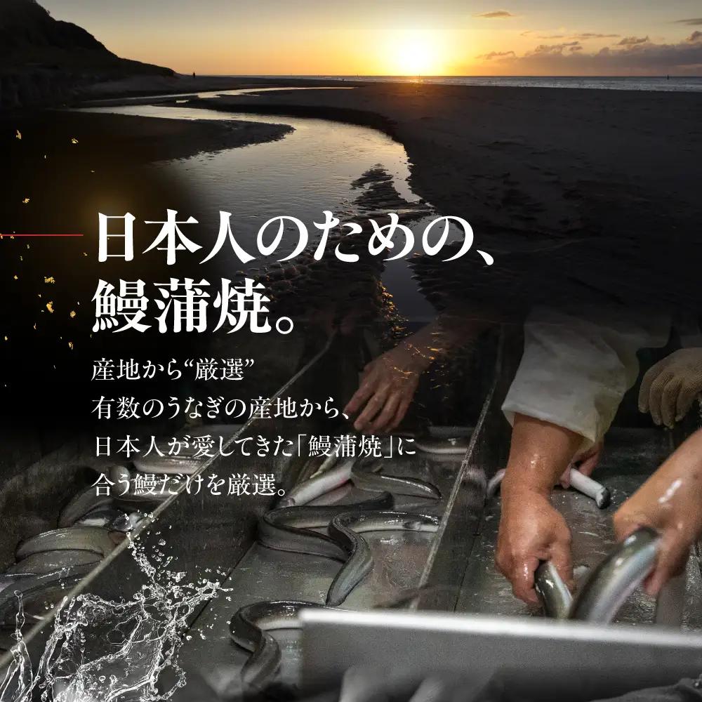 ※数量限定※ 国産特上 大和鰻 2尾（約312g~366g） 国産鰻 選べる 鰻 うなぎ unagi ウナギ 蒲焼 長蒲焼 国産うなぎ 鰻蒲焼 上 特上 贈答 ギフト 豊橋うなぎ 土用の丑の日 カネナ