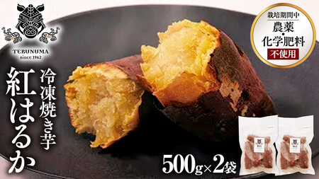 冷凍 焼き芋 1kg(500g×2袋) ギフト BOX 入 紅はるか