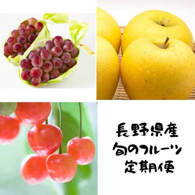 
                  ＜発送月固定定期便＞長野の果物 サクランボ+クイーンルージュ+シナノゴールド全3回【4081306】
                