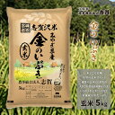 【ふるさと納税】金のいぶき　玄米5kg　お米・宮城県産　お届け：2024年9月下旬以降発送開始