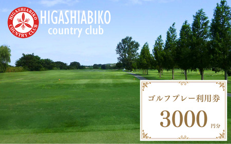 ゴルフ プレー 利用券 3000円分 株式会社東我孫子カントリークラブ《30日以内に出荷予定(土日祝を除く)》千葉県 我孫子市 送料無料 ゴルフチケット ゴルフプレー チケット 東我孫子カントリークラブ