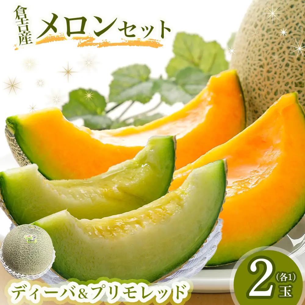 【倉吉産】メロンセット ディーバ / プリモレッド （2玉入り）果物 フルーツ メロン