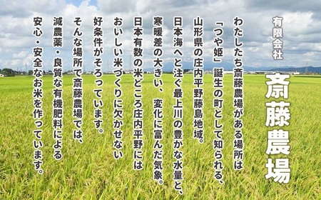 【令和5年産】 斎藤農場の特別栽培米 雪若丸 玄米 10kg（5kg×2） A35-003