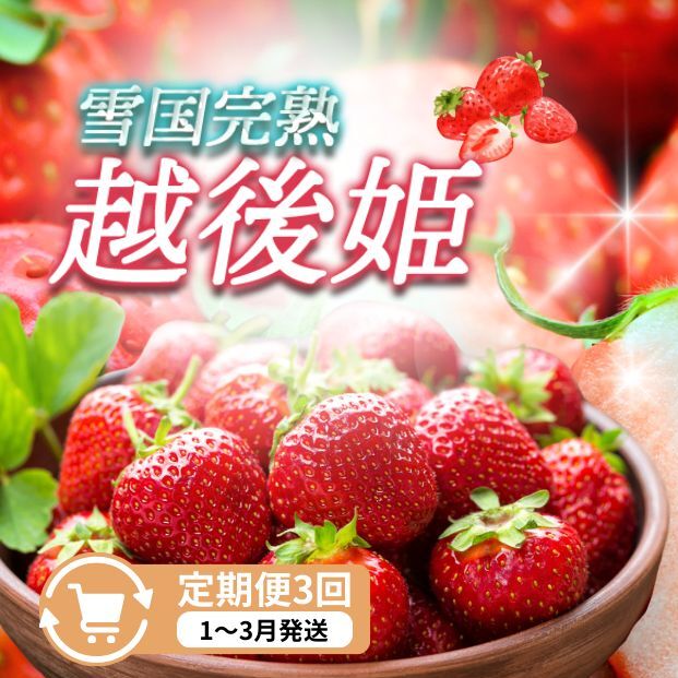 定期便 3回【1～3月発送】雪国完熟いちご越後姫 170g×2全3回 定期配送 越後姫 いちご 定期便 完熟 苺 新潟