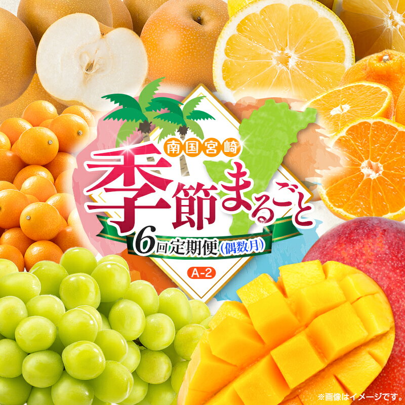 【ふるさと納税】【偶数月 6回定期便】旬 人気 フルーツ 南国宮崎産 太陽のタマゴ きんかん シャインマスカット 日向夏 梨 みかん 柑橘 マンゴー ぶどう 果物 詰め合わせ＜A-2コース M120＞
