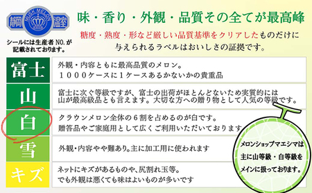 クラウンメロン 並(白等級) 小玉 静岡県産 クラウンメロン【1.1kg前後 2玉】【奇数定期便】