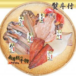 【熨斗付】館山おまかせ干物セット　6種9枚【配送不可地域：離島】【1568585】
