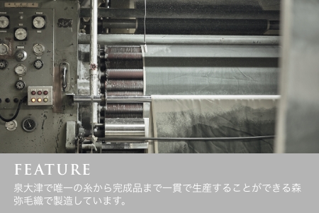 SERENE メリノウール ニューマイヤー [シングル／アイボリー] LP-175001IV-A | 毛布 毛布  [4403]