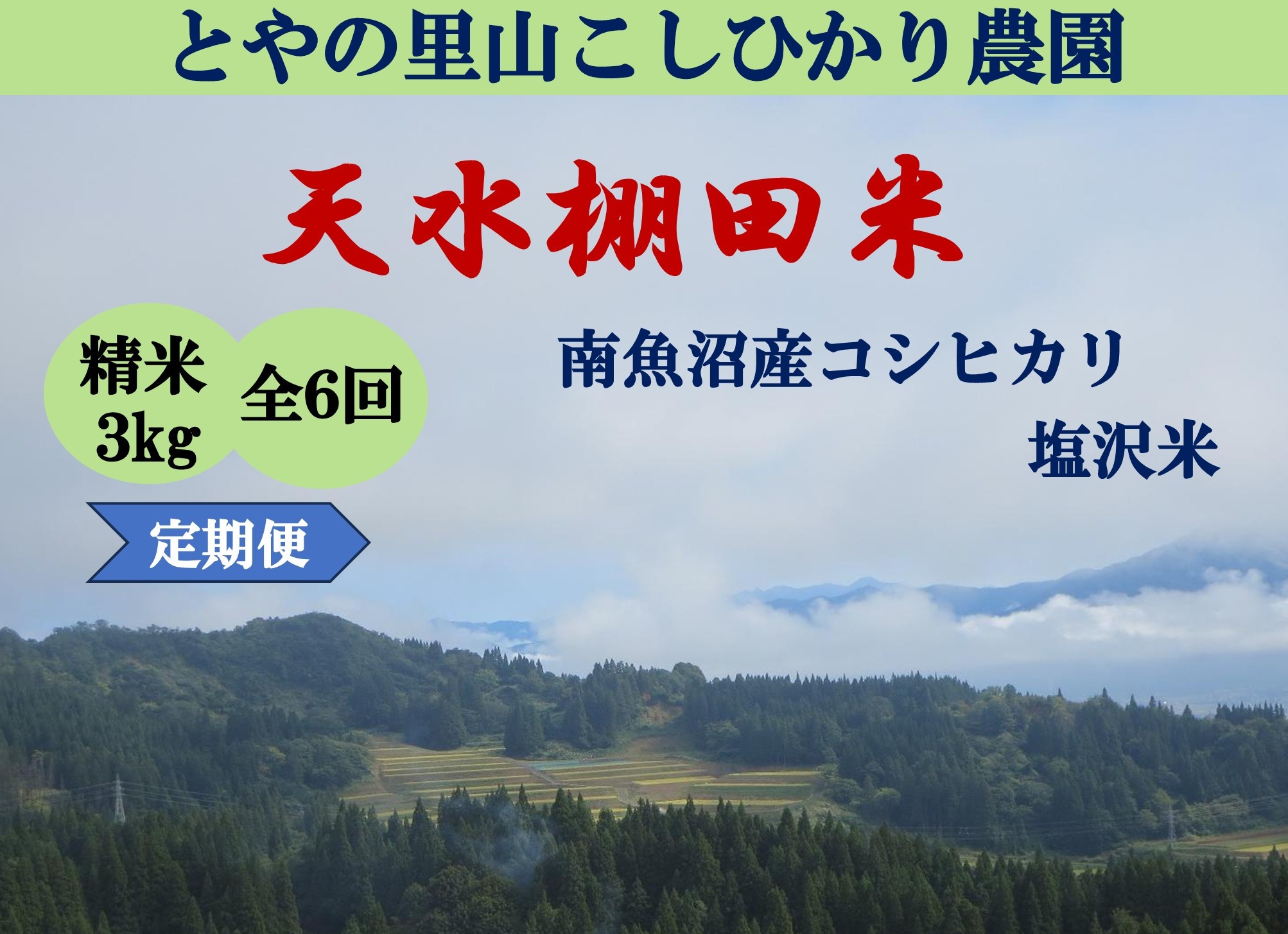 
                  令和8年産新米予約定期便【天水棚田米】特別栽培米雪蔵熟成塩沢産コシヒカリ精米3kg6回「とやの里山継承プロジェクト」【定期便 銘柄米 精米 こしひかり コシヒカリ 魚沼産 新潟米】【2026年10月下旬より順次発送予定】
                