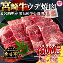 【ふるさと納税】＜宮崎牛ウデ焼肉と宮崎県産和牛小間切れ 総量600g＞牛肉 国産 九州産 焼き肉 BBQ 肉 スライス ブランド牛 食べ比べ セット 小分け 個包装【MI141-my】【ミヤチク】