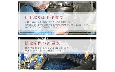 越中氷見屋　ホタルイカ沖漬け2種・素干し・魚醤干し（A3セット）　【魚貝類・加工食品】