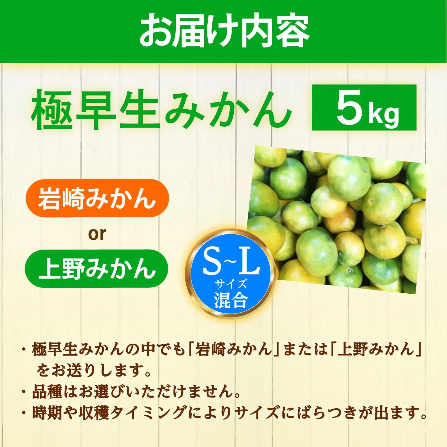  極早生みかん 5kg [CCZ001] みかん