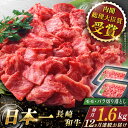 【ふるさと納税】【全12回定期便】 長崎和牛 切り落とし 総計19.2kg （約1.6kg×12回）【ながさき西海農業協同組合】 [QAK048] 肉 和牛 牛肉 人気 しゃぶしゃぶ すき焼き 焼肉 焼き肉 BBQ バーベキュー 霜降り さざちょう おすすめ 45万5千円 455000円