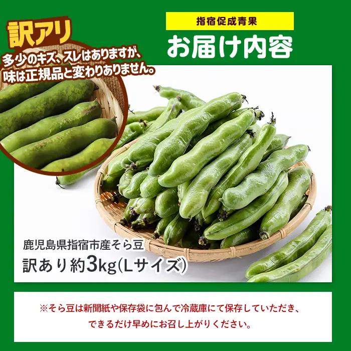 2027年3月上旬以降発送 訳アリ・ご家庭用 そら豆Lサイズ 約3kg IB092-006