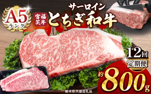 【定期便12回】宮福笑牛(とちぎ和牛) A5 サーロインステーキ 約200gx4枚  | 牛肉 和牛 ステーキ  定期便 サーロイン ステーキ ステーキ用 旨味 美味しい 肉 お肉  栃木県共通返礼品 栃木県 真岡市