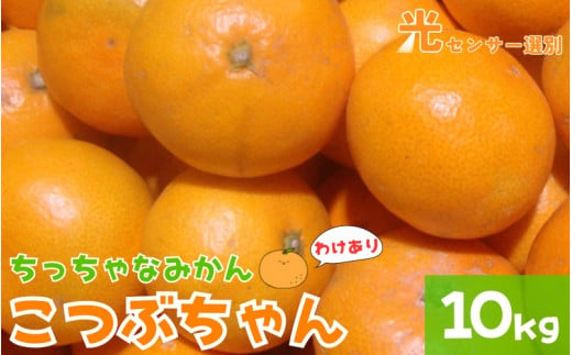 【訳あり】3S ちっちゃな有田みかん 10kg ※2024年11月中旬～2025年1月中旬までに順次発送予定（お届け日指定不可）※北海道・沖縄・離島への配送不可 訳ありみかん みかん ミカン 蜜柑 柑橘 フルーツ 果物 くだもの 温州みかんサイズ混合 訳ありみかん 有機質肥料100% ふるさと納税 柑橘 有田 産地直送【nuk164A】