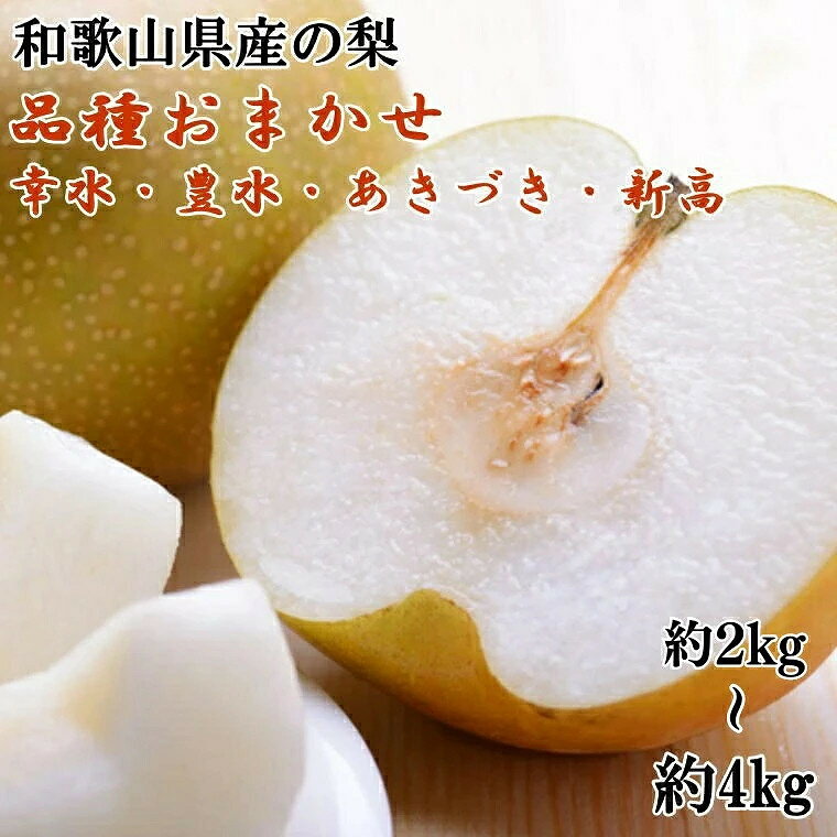 【ふるさと納税】【選べる容量】和歌山県産の梨 約2kg or 約4kg (品種おまかせ) ★2027年8月中旬頃より順次発送 | 梨 なし フルーツ 果物 くだもの 食品 人気 おすすめ 送料無料 産地直送