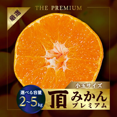 三代目の頂みかんTHEプレミアム【小玉サイズ】5kg【C31-19】