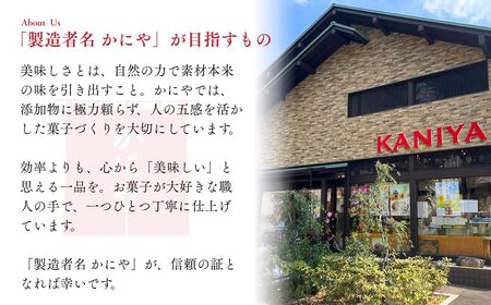 カステラ ケンキ 10個 | カステラ お菓子