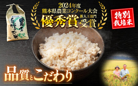 【先行予約】 【令和7年度】 【全3回定期便】 くまさんの輝き 玄米 5kg 計15kg（2025年10月下旬ごろ順次発送）【坂本農園】[AYCC023]